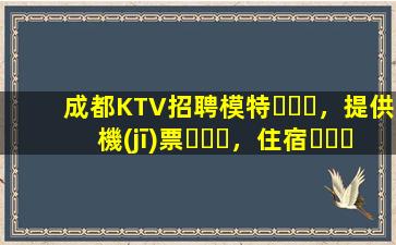 成都KTV招聘模特，提供機(jī)票，住宿，日結(jié)